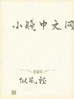 小贱中文网