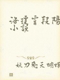 洛琼霄段阳澍的小说