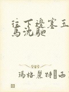 往下边塞玉器骑马沈驰