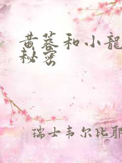 黄蓉和小龙女的秘密