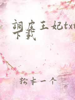 调皮王妃txt下载