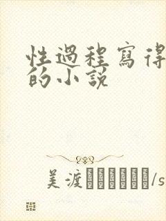 性过程写得详细的小说