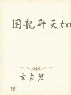 困龙升天txt
