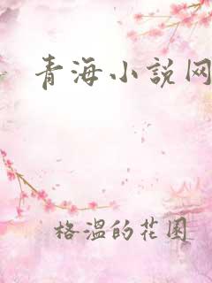 青海小说网