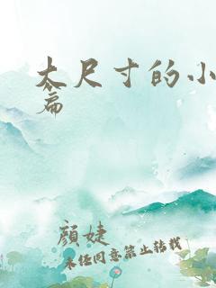 大尺寸的小说短篇