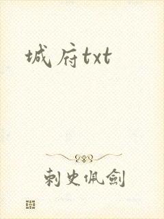 城府txt