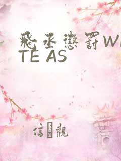 飞丞惩罚WRITE AS