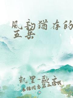 风韵犹存的四十五岳