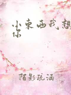 小东西我想弄坏你