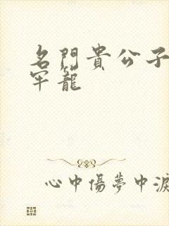 名门贵公子炙热牢笼