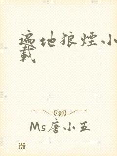 遍地狼烟小说下载