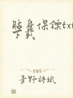 贴身保镖txt下载