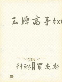 王牌高手txt