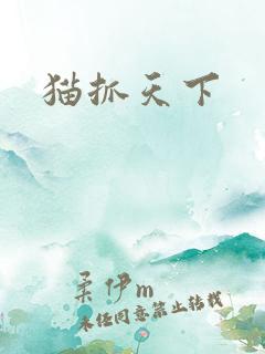 猫抓天下