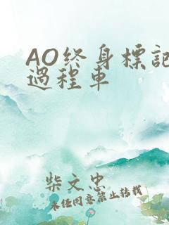 AO终身标记全过程车