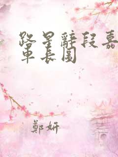 路星辞段嘉衍肉车长图