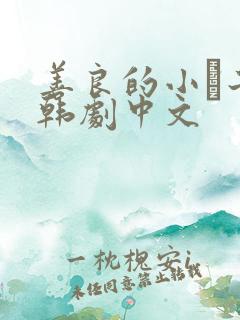 善良的小峓子2韩剧中文