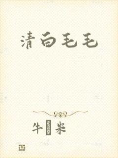 清白毛毛