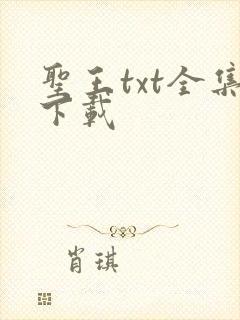 圣王txt全集下载