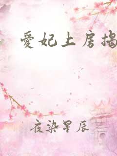 爱妃上房揭瓦