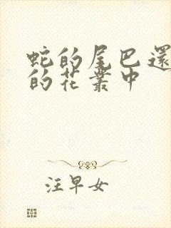 蛇的尾巴还在我的花丛中