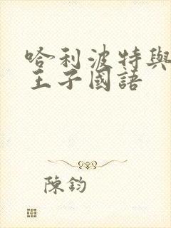 哈利波特与混血王子国语