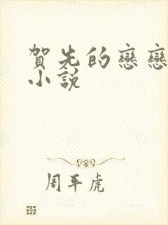 贺先的恋恋不忘小说