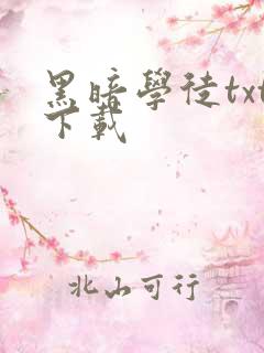 黑暗学徒txt下载