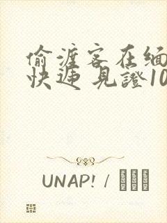 偷渡客在缅北送快递 见证100种逃亡