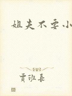 姐夫不要小说