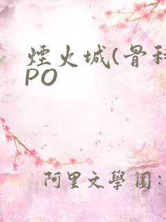 烟火城(骨科)PO