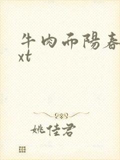 牛肉面阳春面txt