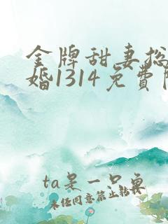 金牌甜妻总裁宠婚1314免费阅读