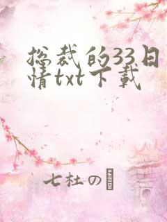 总裁的33日索情txt下载