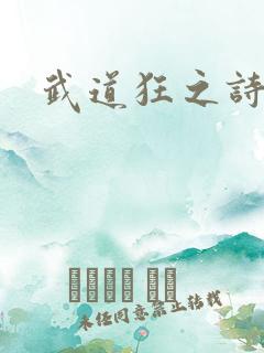 武道狂之诗