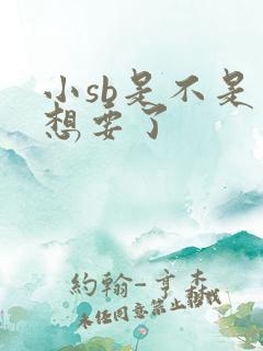 小sb是不是又想要了