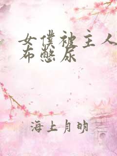 女仆被主人用胶布憋尿