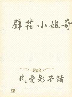 壁花小姐奇遇记