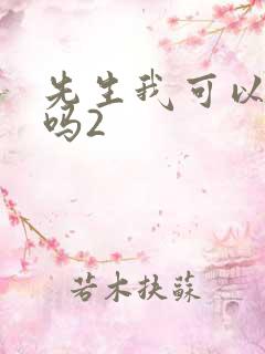 先生我可以上你吗2