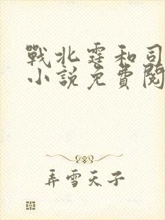 战北霆和司情的小说免费阅读