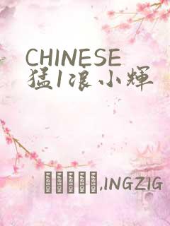 CHINESE猛1浪小辉