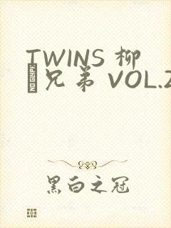 TWINS 柳澤兄弟 VOL.2