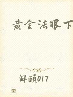 黄金法眼下载