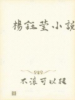 杨钰莹小说阅读