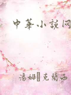 中华小说网
