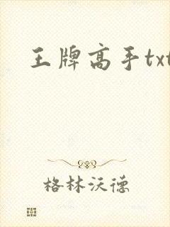 王牌高手txt