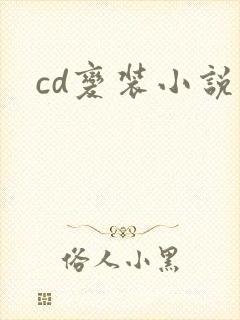 cd变装小说