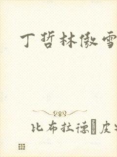 丁哲林傲雪小说