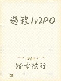 过程1v2PO