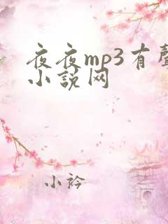 夜夜mp3有声小说网